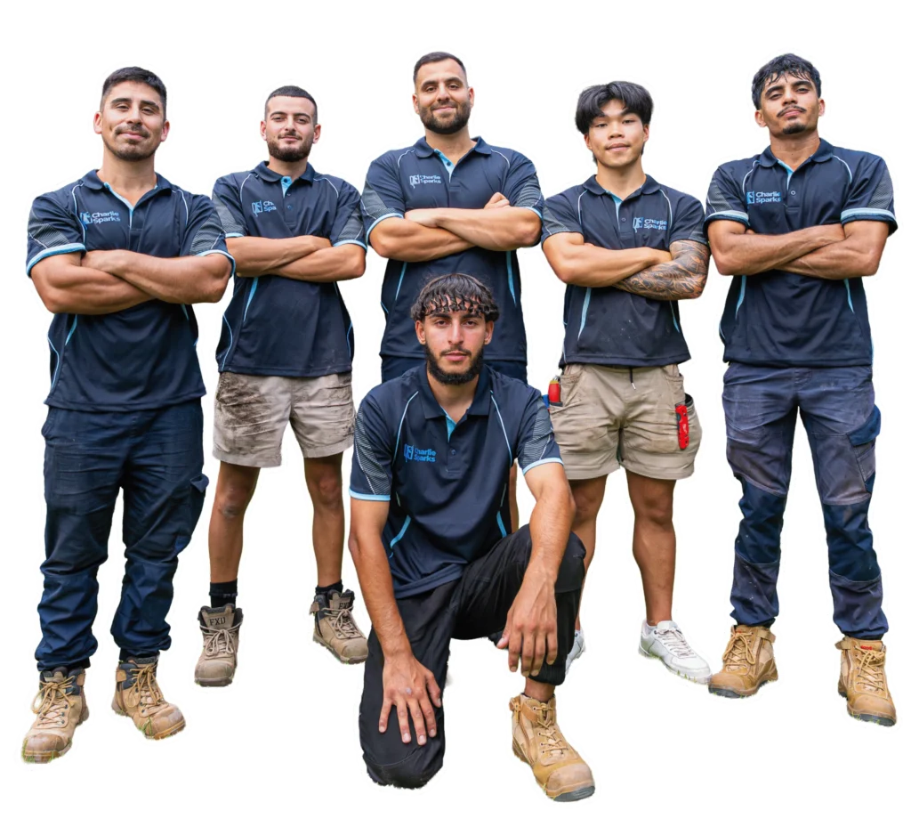 Charlie Sparks solar installers team showcasing expertise and professionalism in Sydney.